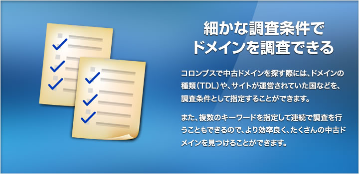 細かな調査条件でドメインを調査できる