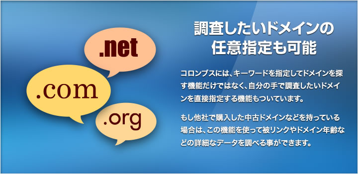 調査したいドメインの任意指定も可能